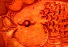 carnelian koi macro 3968x2976 wallpaper Art HD Wallpaper